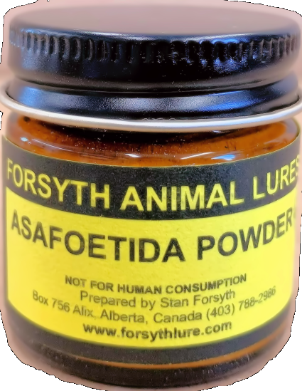 Asafoetida Powder