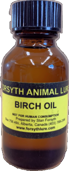 Birch Oil