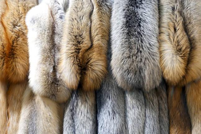 Hide & Leather Dye