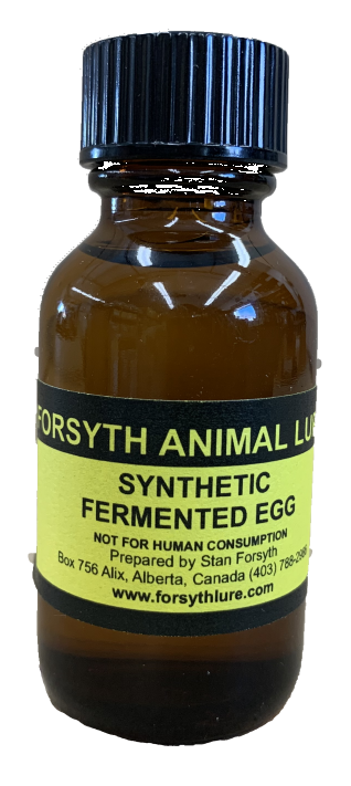 Fermented Egg