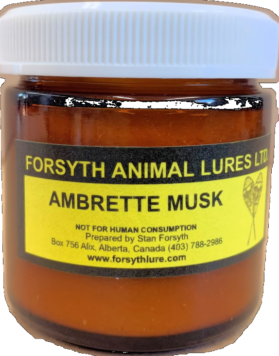 Ambrette Musk