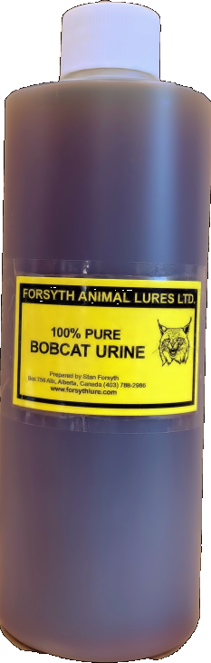 Bobcat Urine