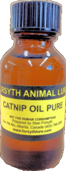 Pure Catnip Oil