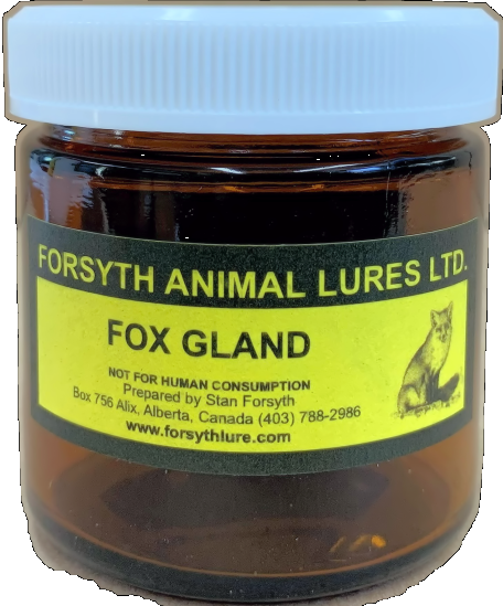 Fox Glands