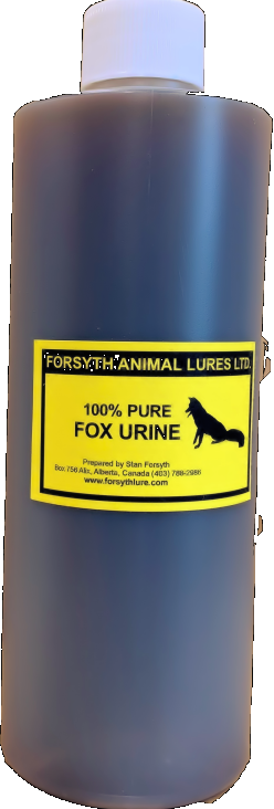 Red Fox Urine