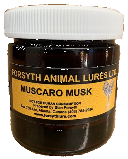 Muscaro Musk