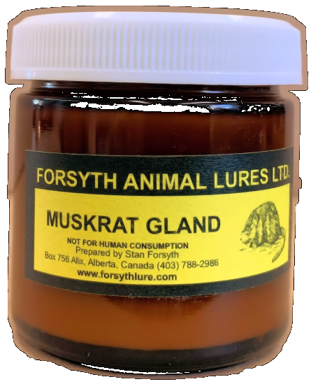 Muskrat Glands