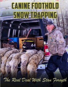 Canine Foothold Snow Trapping