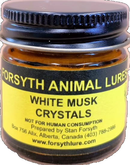 White Musk